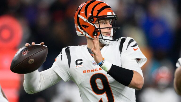 The Bengals hope to bounce back against the Joe Boro Ravens