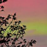 The Northern Lights are visible in several countries

