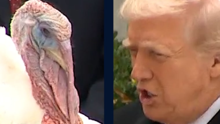 Trump Pardon rolls Turkey ahead of Thanksgiving