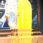 Protesters sing food in the case of British English twins

