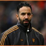 The Crystal Palace focuses on the city of City Striker divin Mubama

