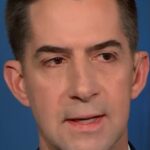 The debate revolved around us attacking livestock ships

